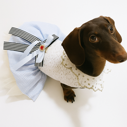 Dachshund-Lace-Skirt.jpg