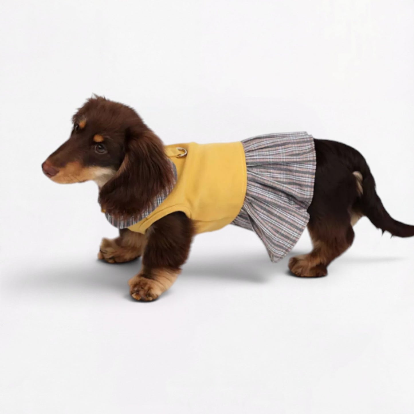 Dachzy-Dachshund-Cute-Yellow-Dress.jpg