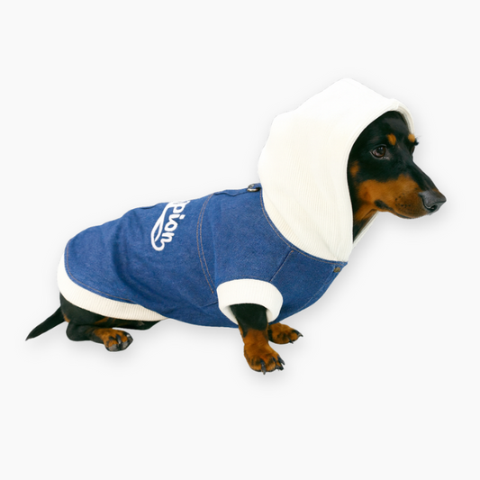 DenimPaw_Dachshund_Hoodie_Jacket_1