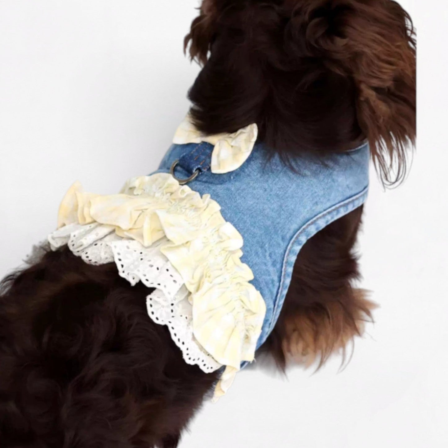 DenimPup-Dachshund-Denim-Lace-Skirt.jpg