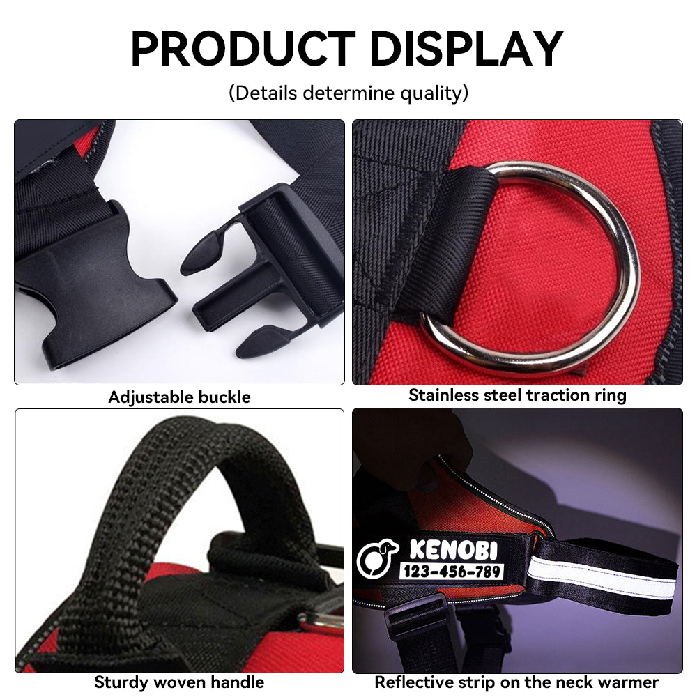 Lucifer - Personalized Dachshund Harness