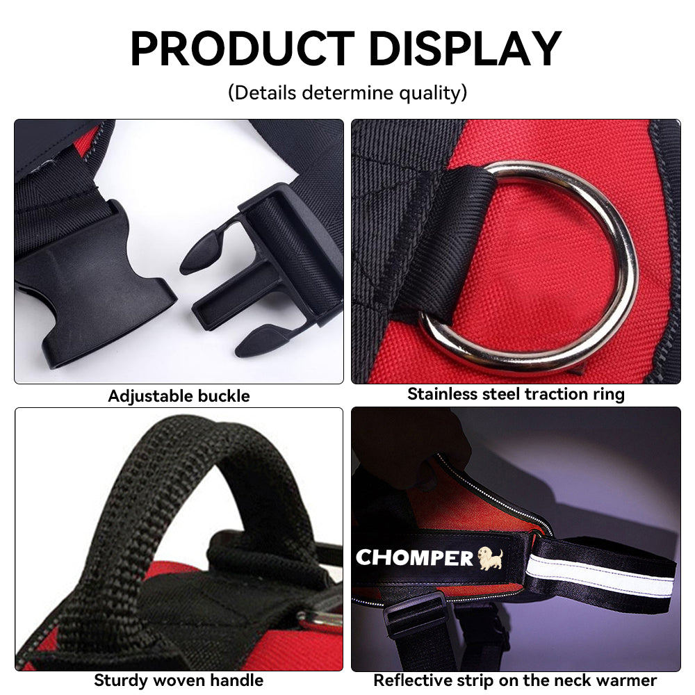 Rollo - Personalized Dachshund Harness