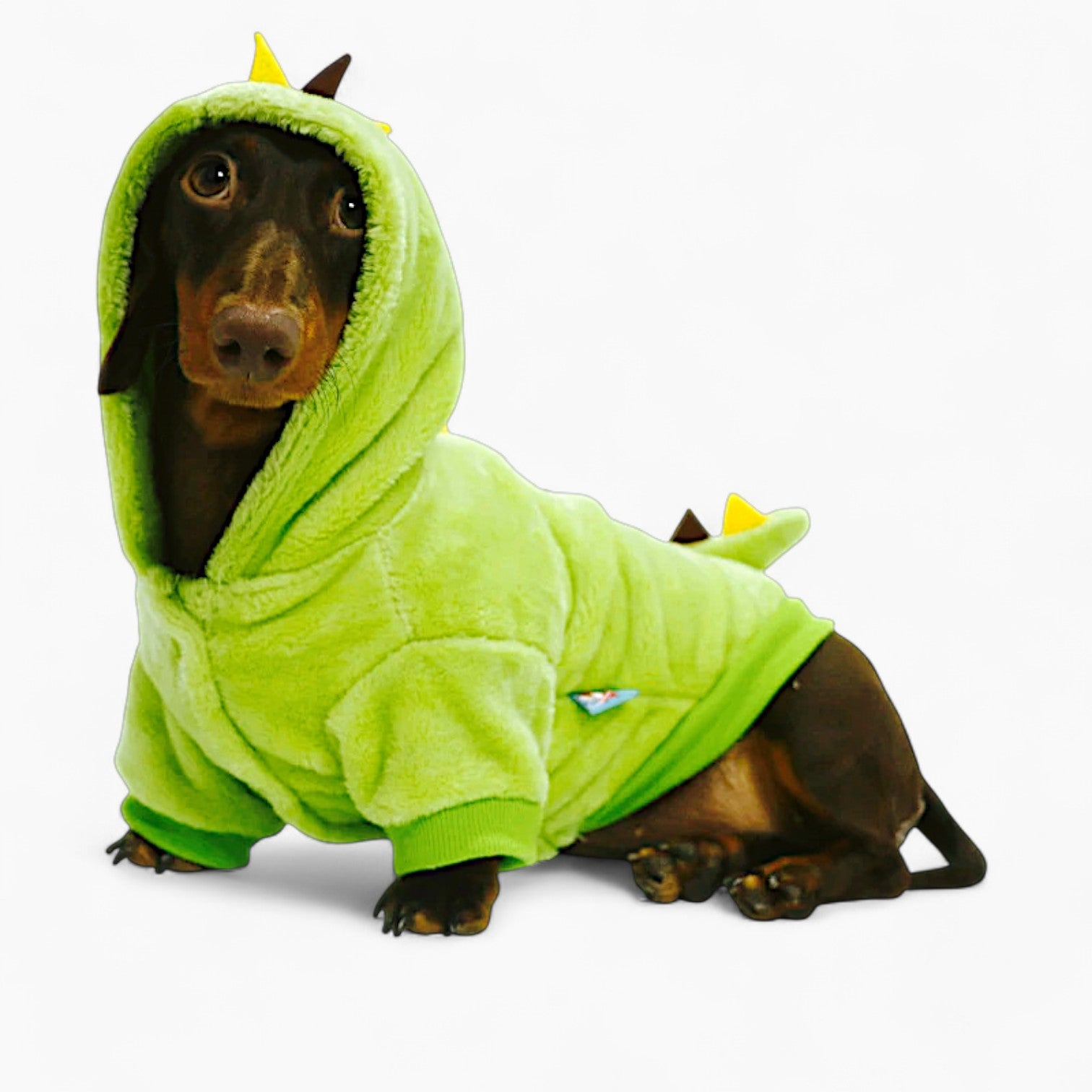 DinoPaw-Dachshund-Dinosaur-Hoodie.jpg