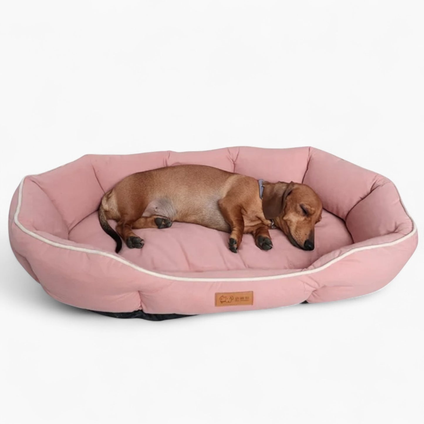 DoxCush-Dachshund-Pillow-Sofa-Bed.jpg