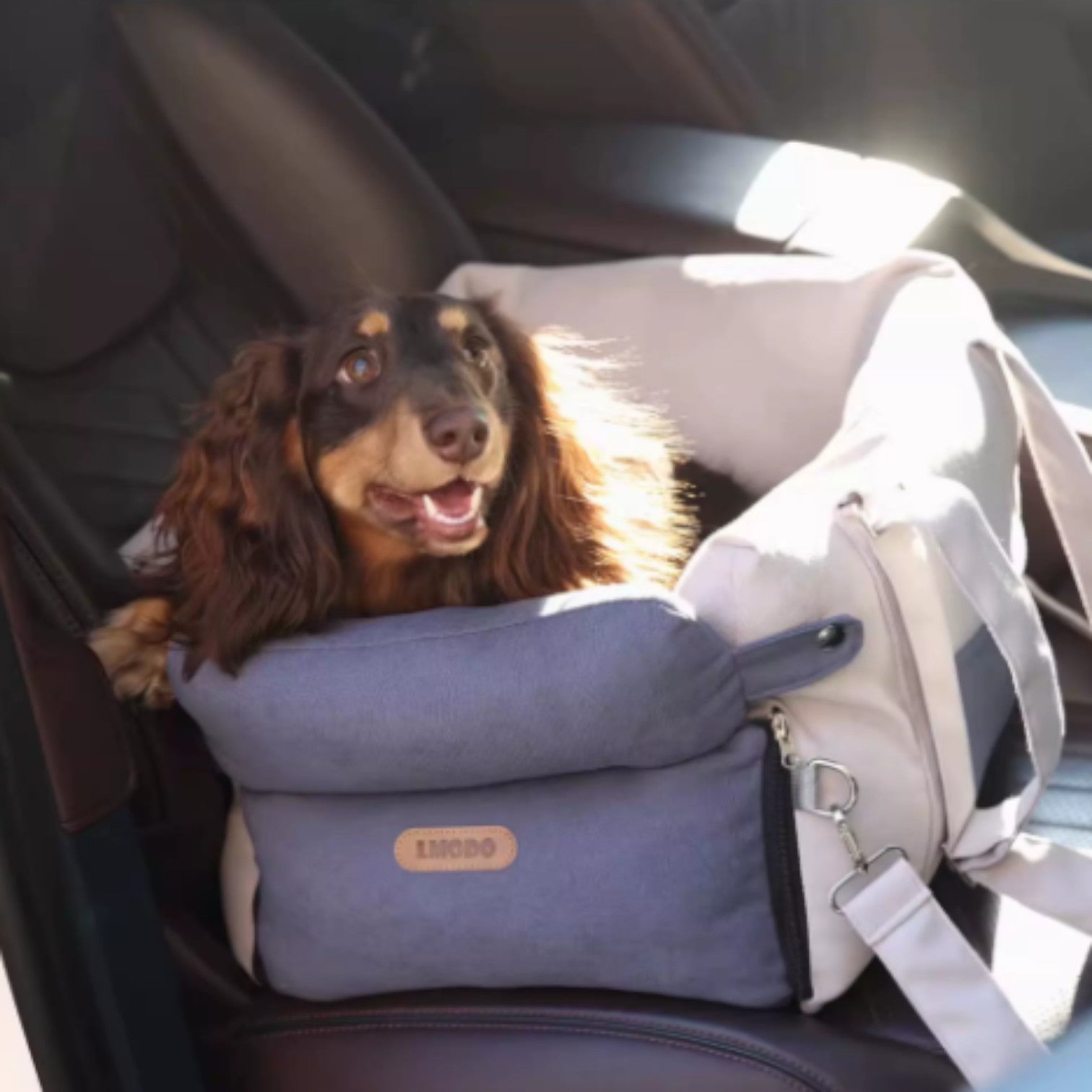 DoxEase-Dachshund-Car-Seat.jpg