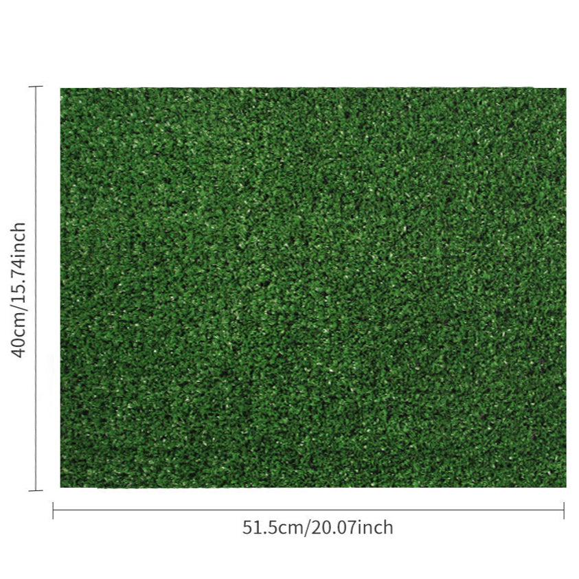 DoxLoo-Dachshund-Potty-Training-Mat.jpg