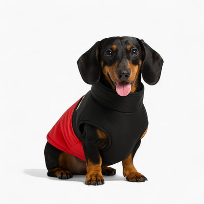DoxPeak-Dachshund-Puffer-Jacket.jpg