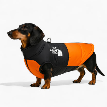 DoxPeak-Dachshund-Puffer-Jacket.jpg