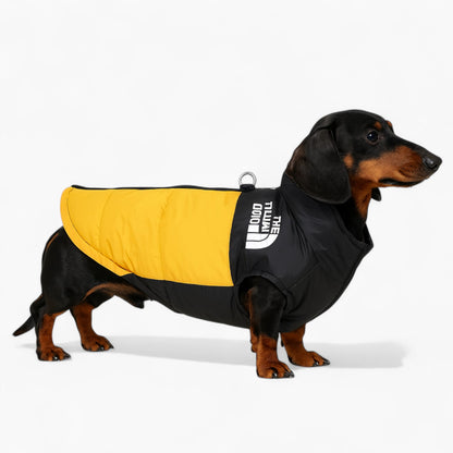 DoxPeak-Dachshund-Puffer-Jacket.jpg