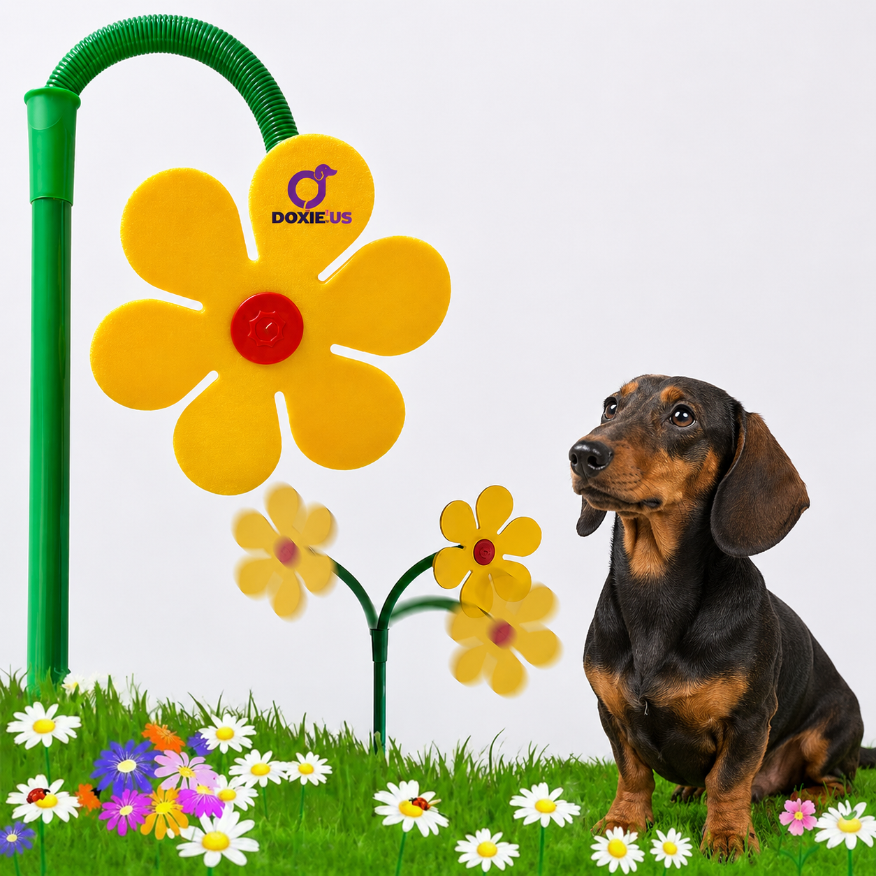 DoxSpray-Dachshund-Flower-Daisy-Sprinkler.jpg