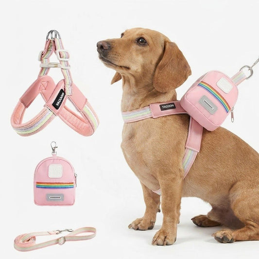 DoxiBloom-Dachshund-Harness-Leash-Set.jpg
