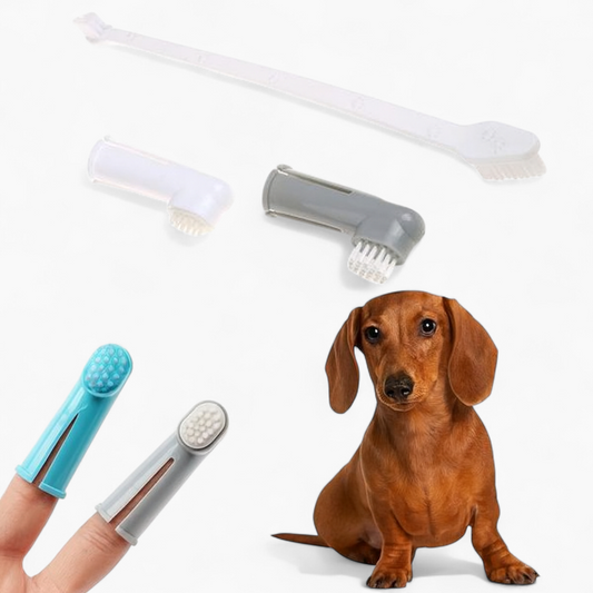 DoxiBrush™-Dachshund-Toothbrush-Set.jpg