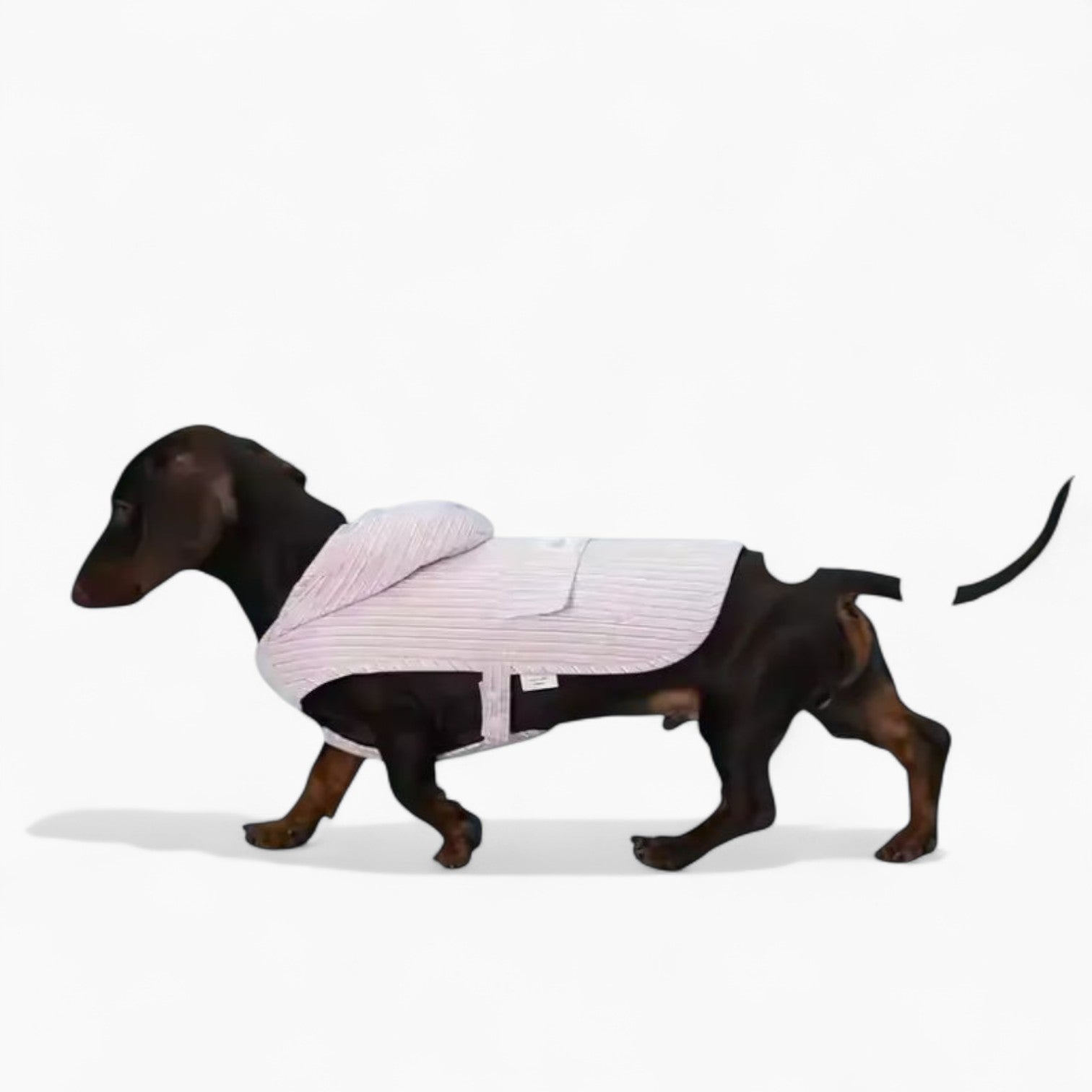 DoxiCape-Dachshund-Hooded-Bichon.jpg