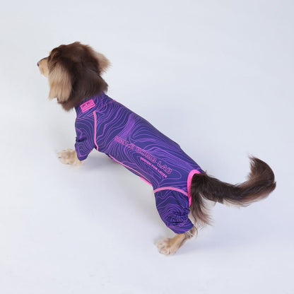 DoxiDream-Dachshund-Pajamas.jpg