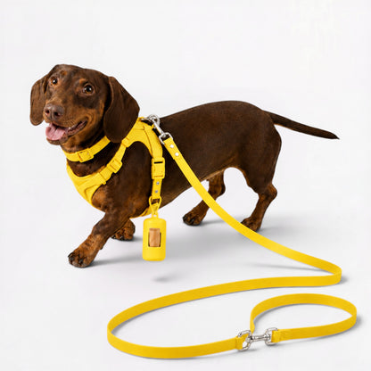 DoxiFlex-Dachshund-Soft-Gear-Set.jpg