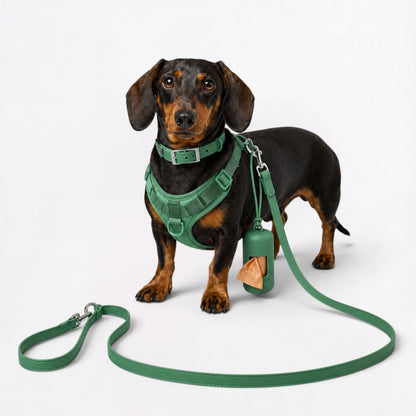 DoxiFlex-Dachshund-Soft-Gear-Set.jpg