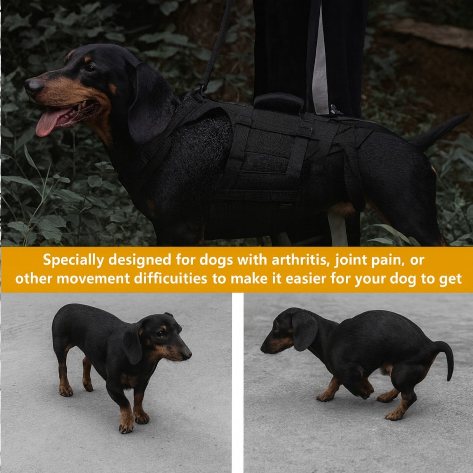 DoxiLift™-Dachshund-Walking-Aid-Harness.jpg