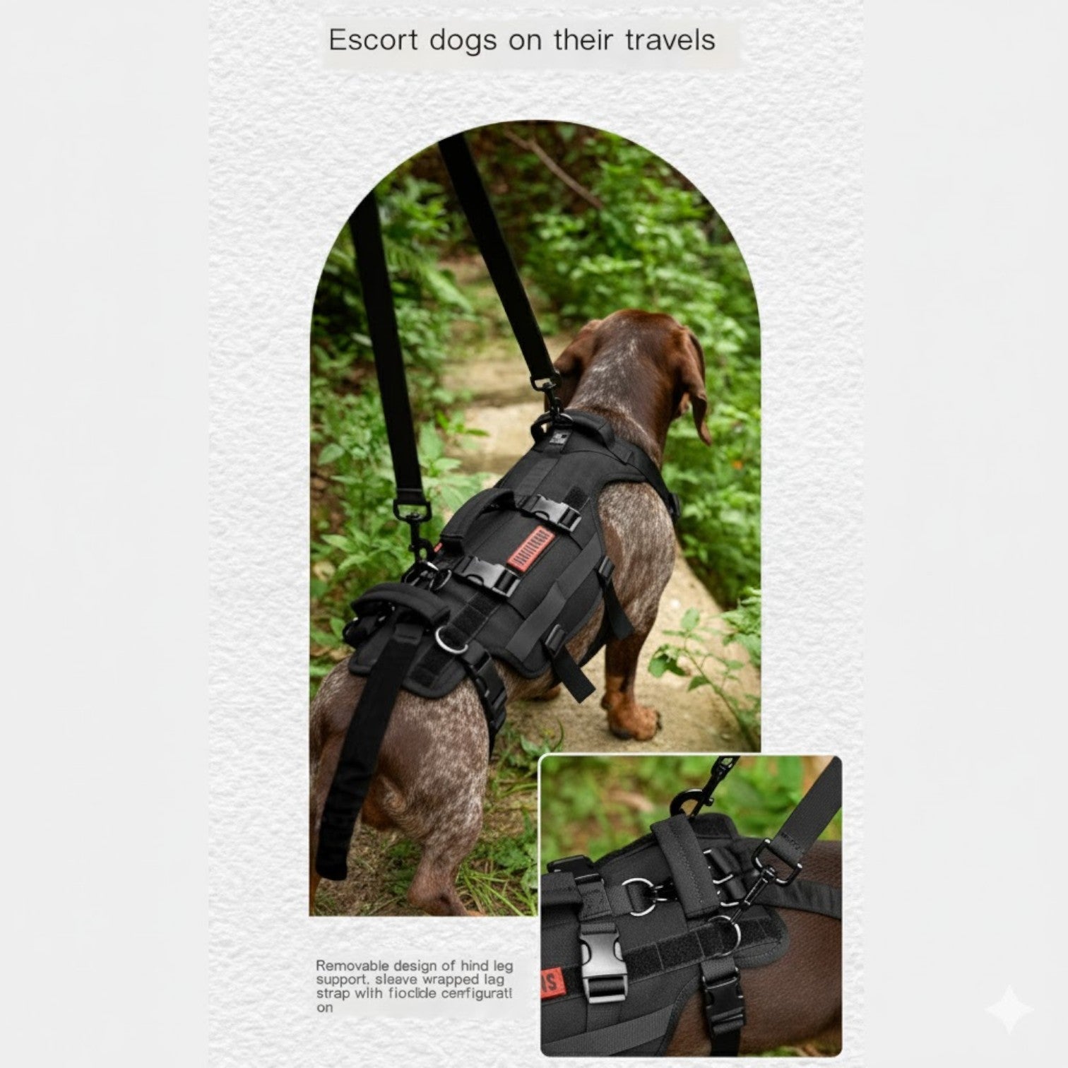 DoxiLift™-Dachshund-Walking-Aid-Harness.jpg