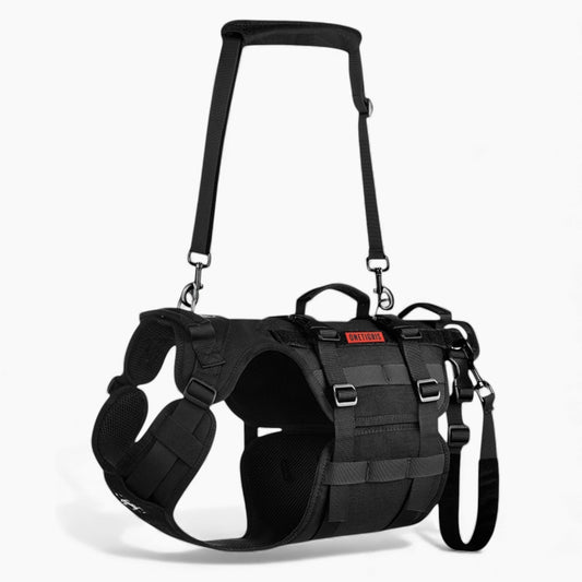 DoxiLift™-Dachshund-Walking-Aid-Harness.jpg