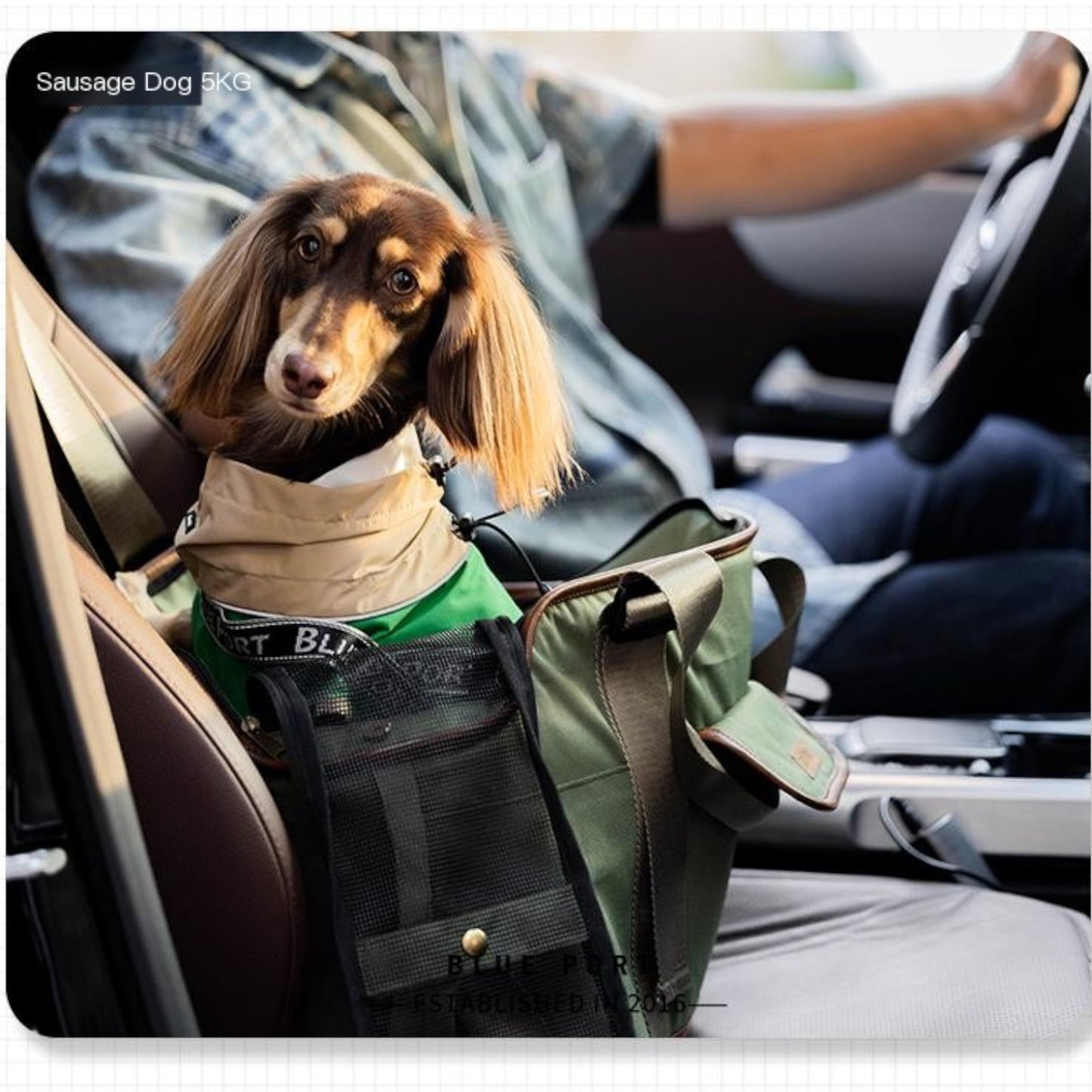 DoxiPort™-Dachshund-Backpack-Carrier.jpg