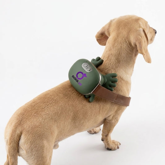 DoxiRelax-Dachshund-Electric-Massager.jpg