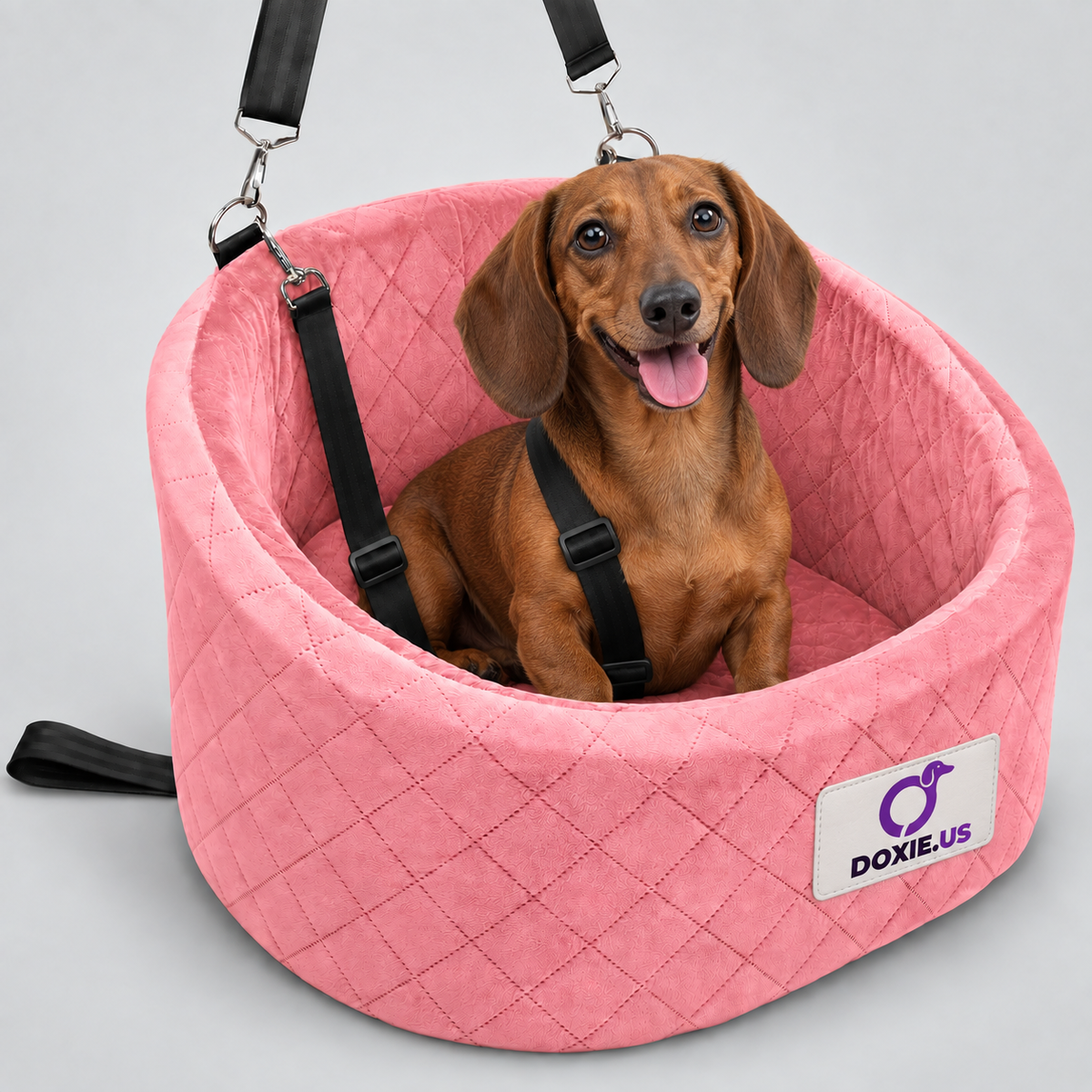 DoxiRide-Dachshund-Car-Seat-Bed.jpg