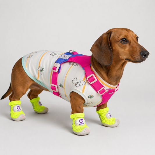 DoxiStep-Dachshund-Mesh-Shoes.jpg
