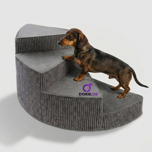 DoxiStep-Dachshund-Rotating-Stairs.jpg