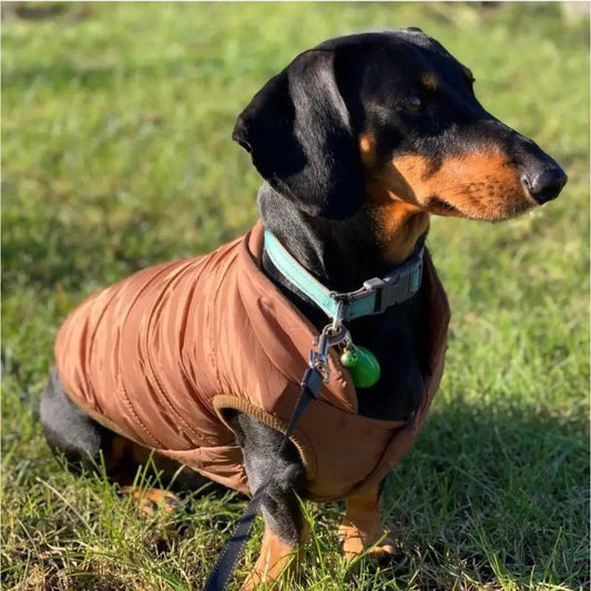 Cozy-Doxie-Puffer-Vest-Warm-Winter-Jacket-www.doxie.us