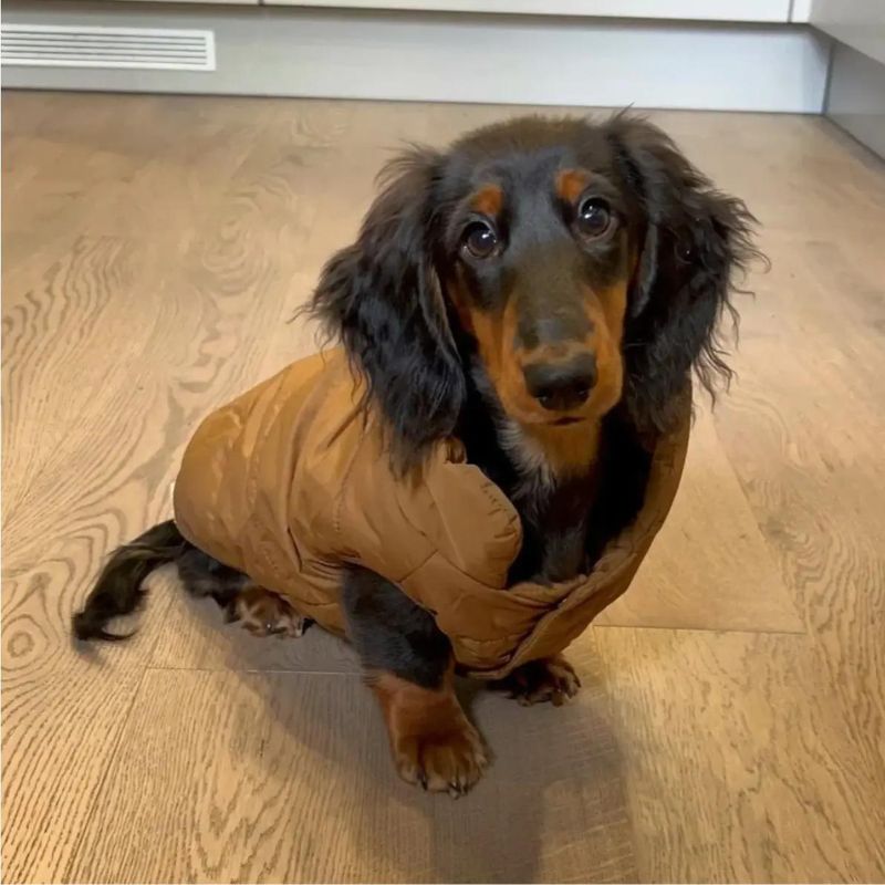 Cozy-Doxie-Puffer-Vest-Warm-Winter-Jacket-www.doxie.us