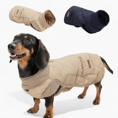 Quilted water-resistant winter coat for dachshunds, view 3