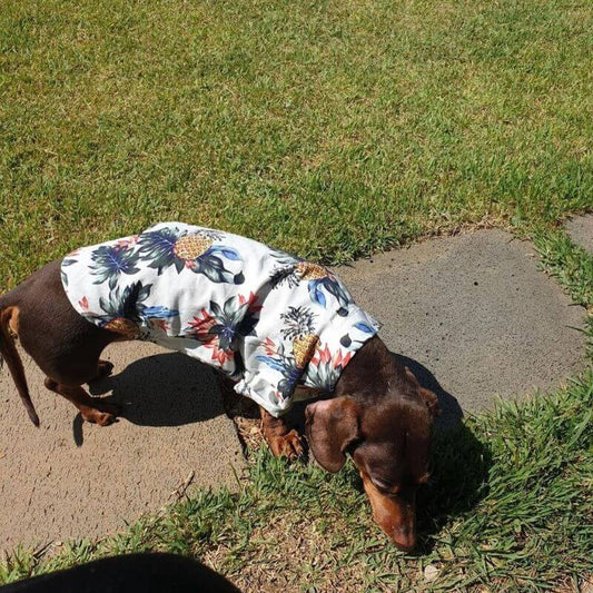 Dachshund-Hawaiian-Shirts-Summer-Beach-Clothes-www.doxie.us