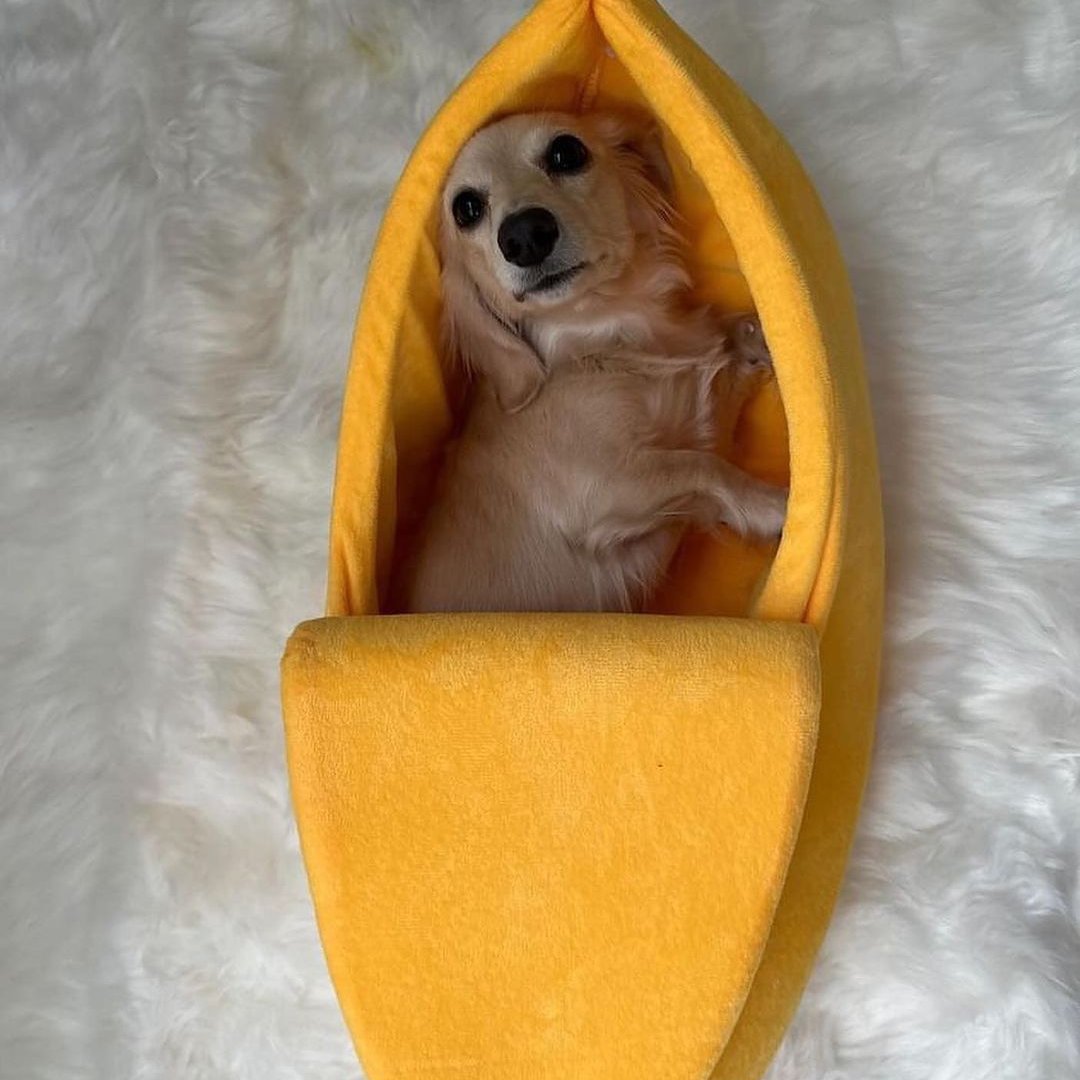 DoxieNest Dachshund Banana Bed