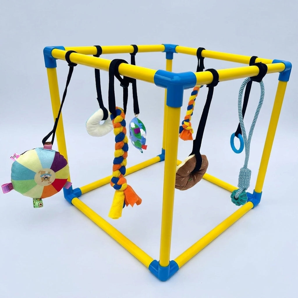 DoxiePlay-Dachshund-Activity-Gym.jpg