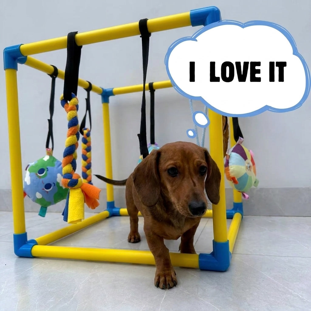 DoxiePlay-Dachshund-Activity-Gym.jpg