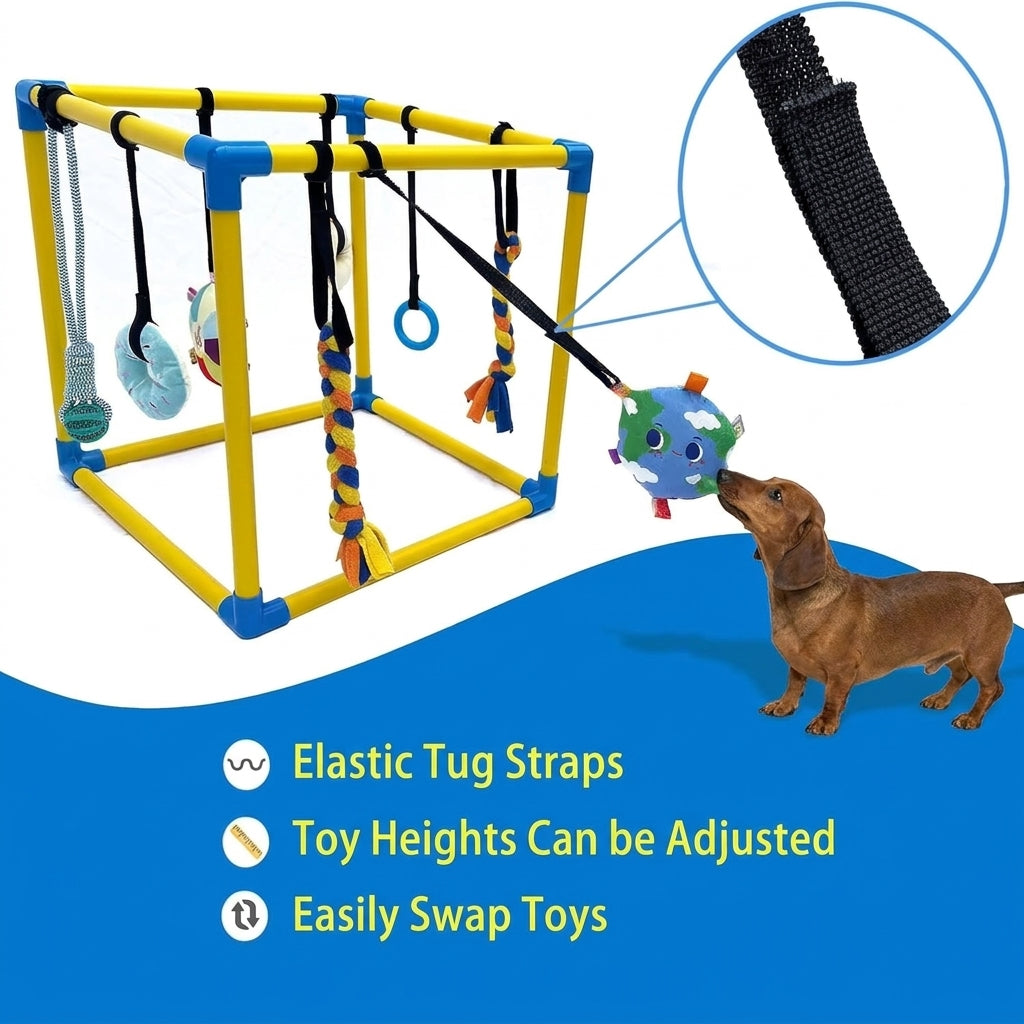 DoxiePlay-Dachshund-Activity-Gym.jpg