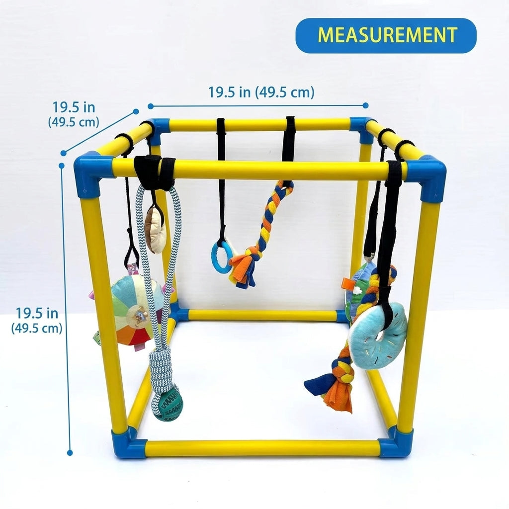 DoxiePlay-Dachshund-Activity-Gym.jpg