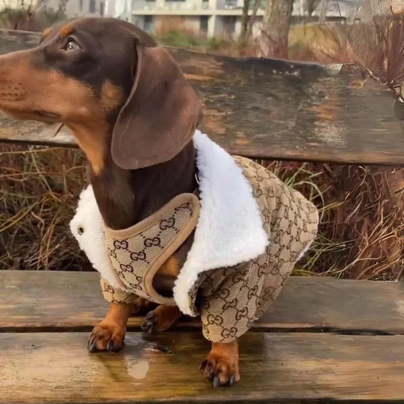 DoxieSnug Dachshund Winter Jacket