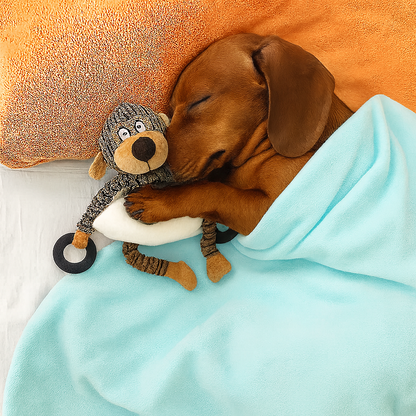 DoxieSqu-Dachshund-Squeaky-Toy.jpg