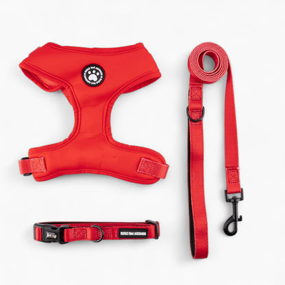 DoxieWalk-Dachshund-Harness-Set.jpg