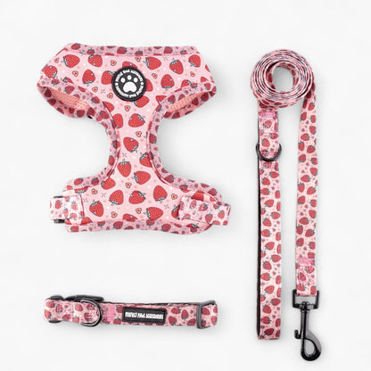 DoxieWalk-Dachshund-Harness-Set.jpg