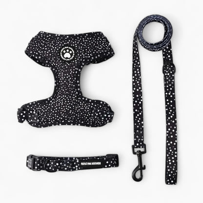 DoxieWalk-Dachshund-Harness-Set.jpg