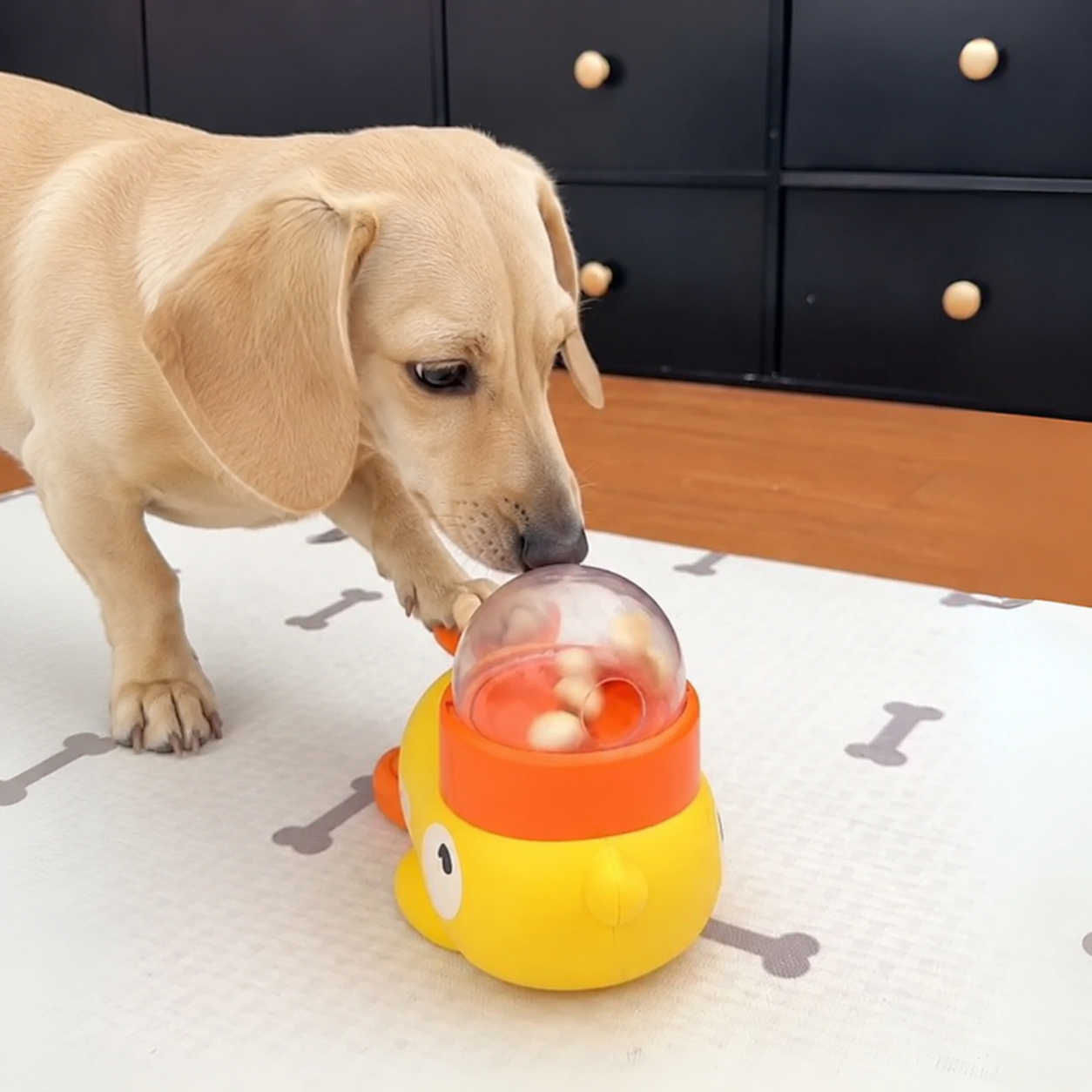  DuckyPaw-Dachshund-Food-Puzzle-Toy.jpg