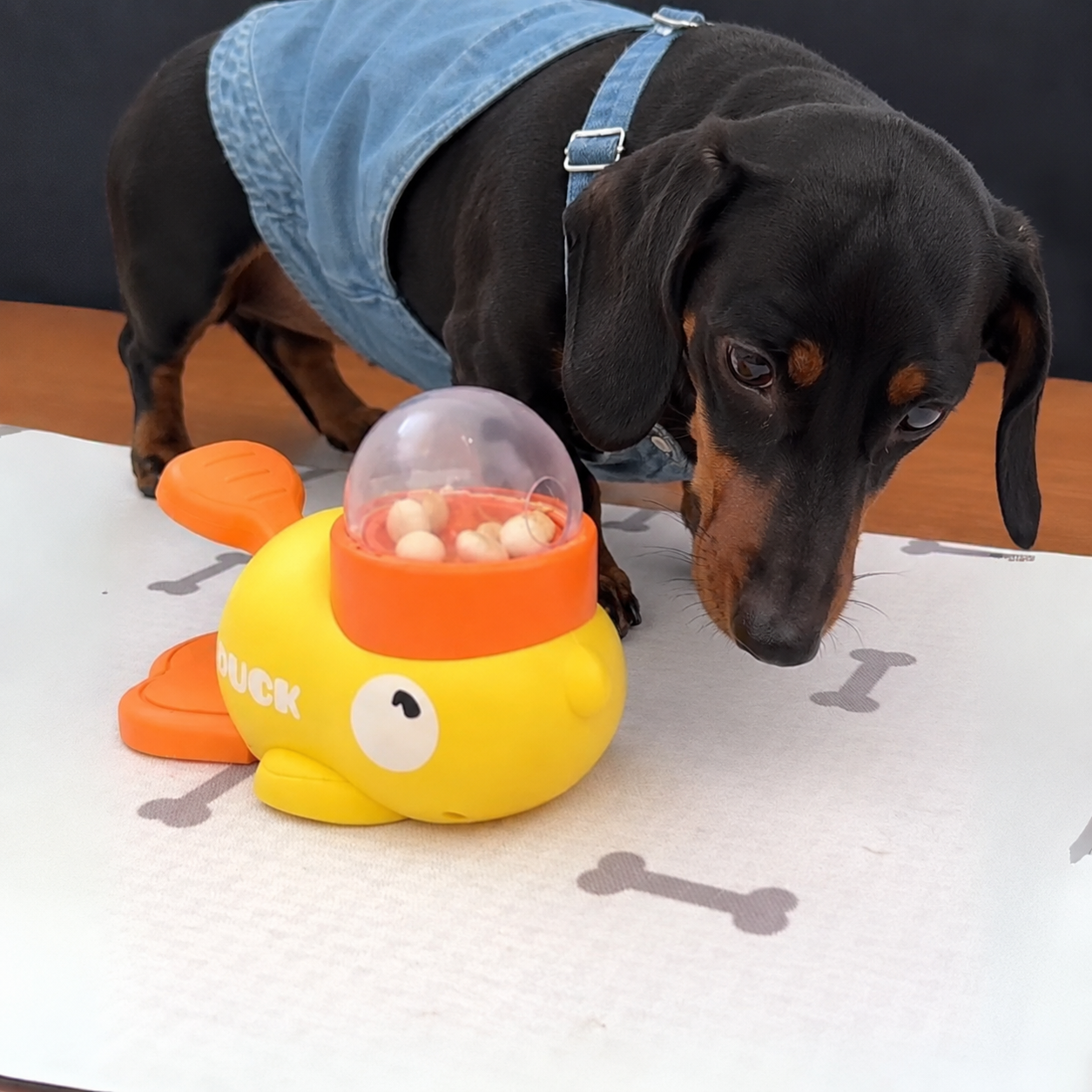  DuckyPaw-Dachshund-Food-Puzzle-Toy.jpg