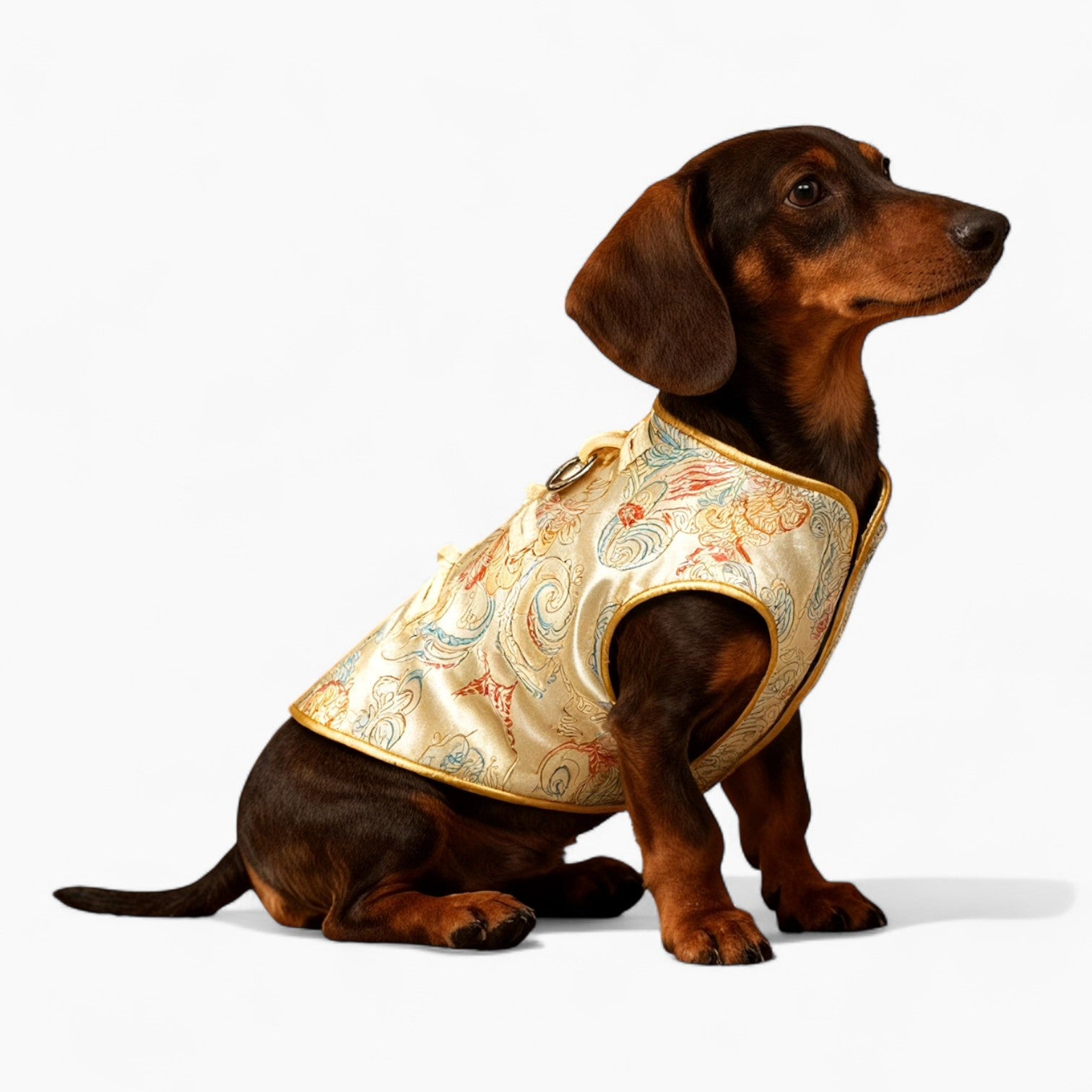 DynoPup-Dachshund-Tang-Suit.jpg