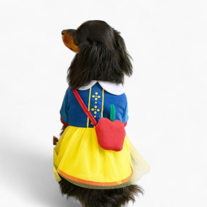 FairyTail-Dachshunds-Princess-Costume.jpg