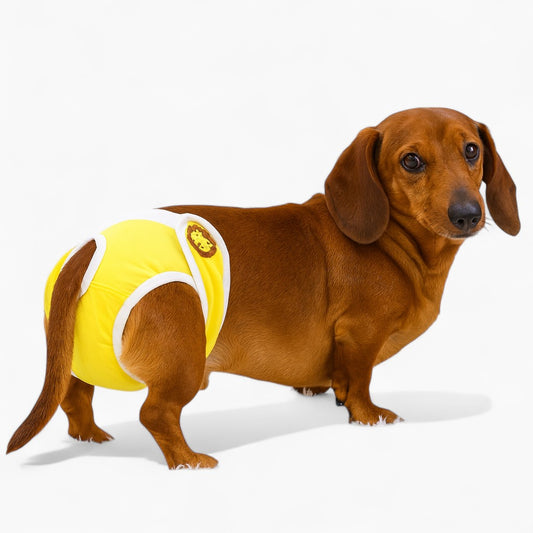 Fangaroo-Dachshund-Physiological-Pants.jpg