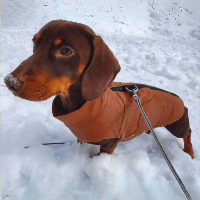 Doxie Faux Leather Winter Vest