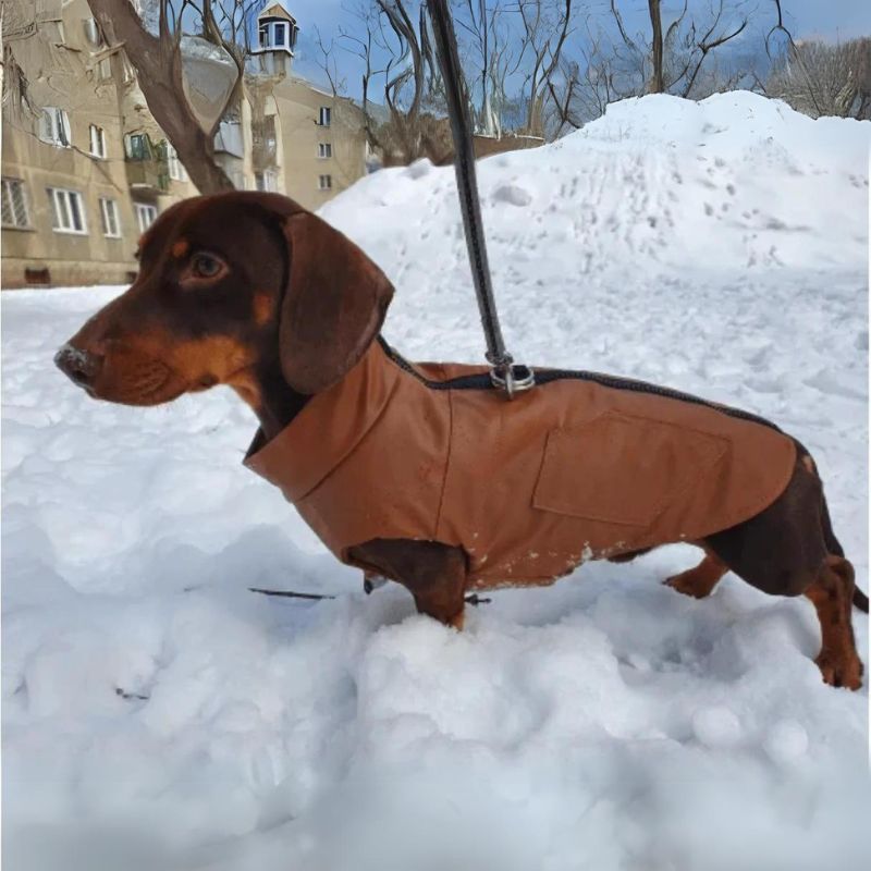 Doxie Faux Leather Winter Vest