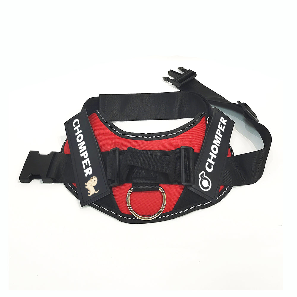 Rollo - Personalized Dachshund Harness